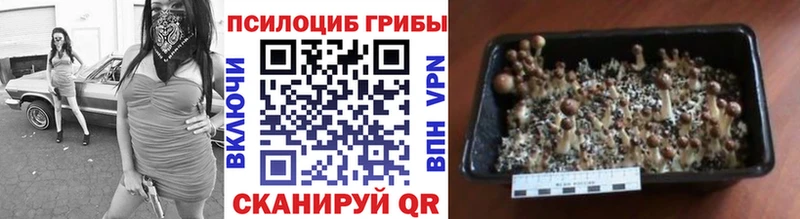 Псилоцибиновые грибы MAGIC MUSHROOMS  Бежецк 